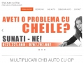 Chei cip transponder