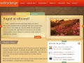 Realizam siteuri web, magazine online, siteuri de publicitate