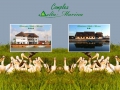 Pensiunea Delta Marina - cazare Delta Dunarii
